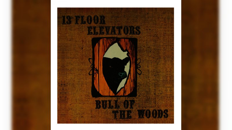 Обложка альбома Bull of the Woods