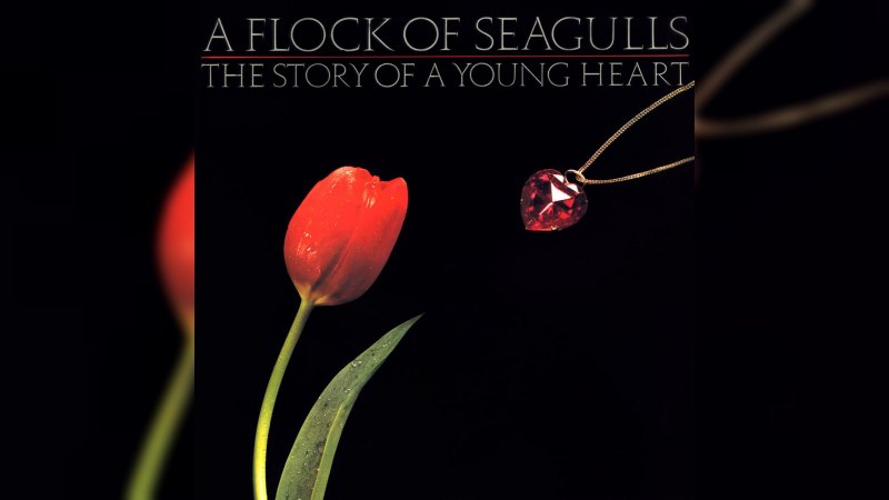 Обкладинка альбому The Story of a Young Heart