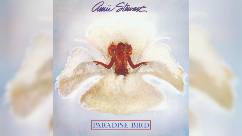 Обложка альбома Paradise Bird
