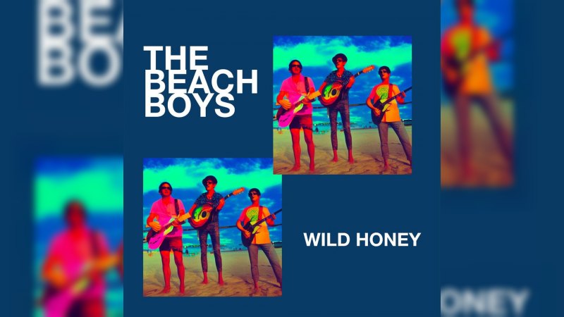 Обложка альбома Wild Honey