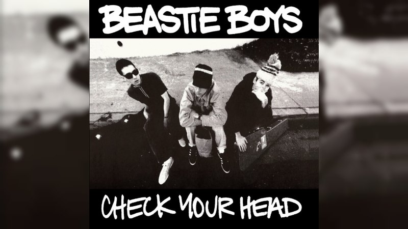 Обкладинка альбому Check Your Head