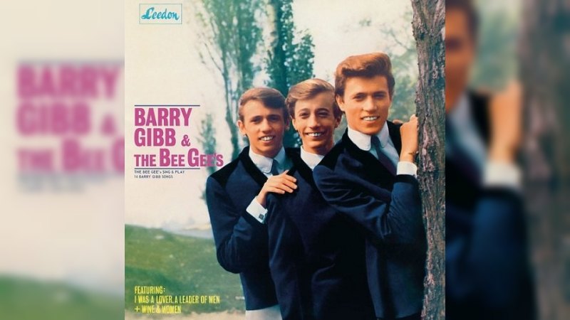 Обкладинка альбому The Bee Gees Sing and Play 14 Barry Gibb Songs