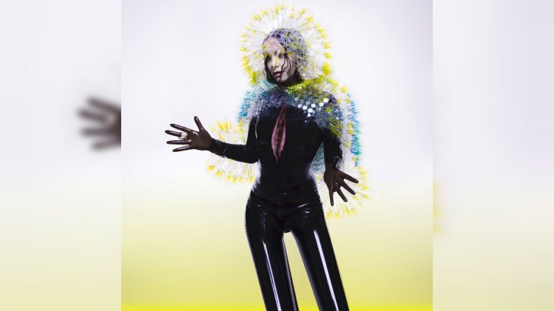 Обложка альбома Vulnicura