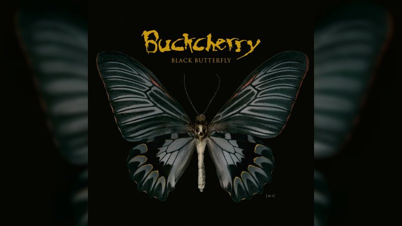 Обложка альбома Black Butterfly