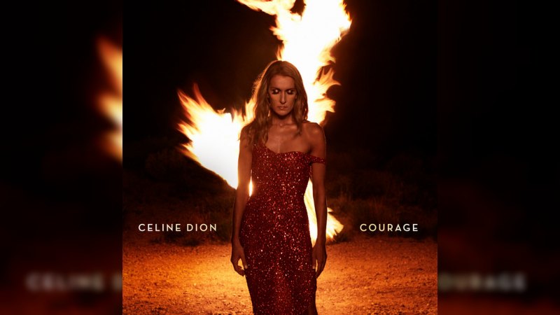 Обложка альбома Courage