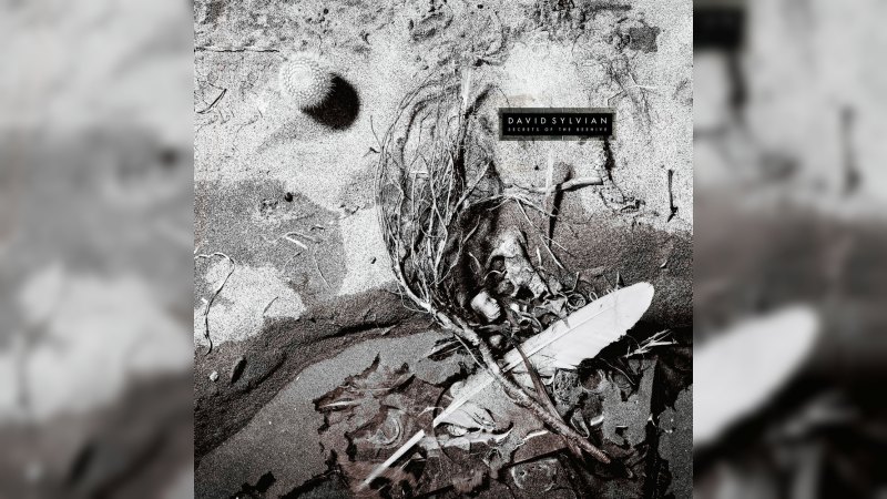 Обложка альбома Secrets of the Beehive