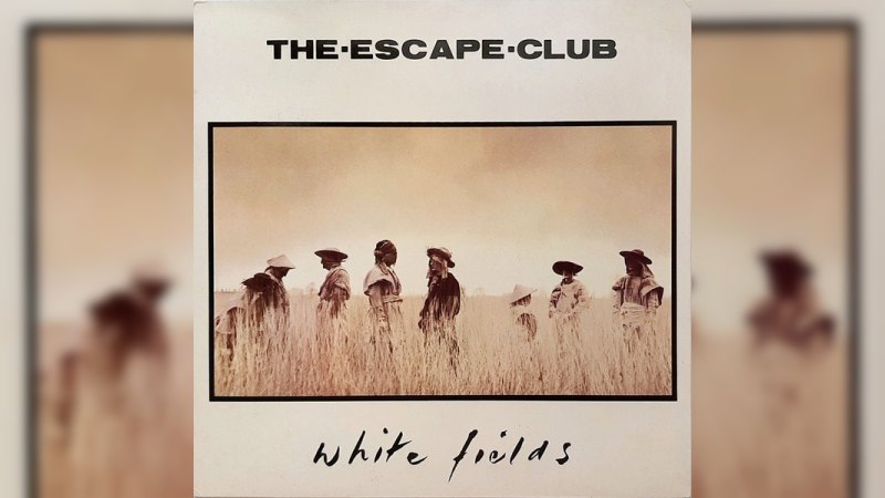 Обложка альбома White Fields