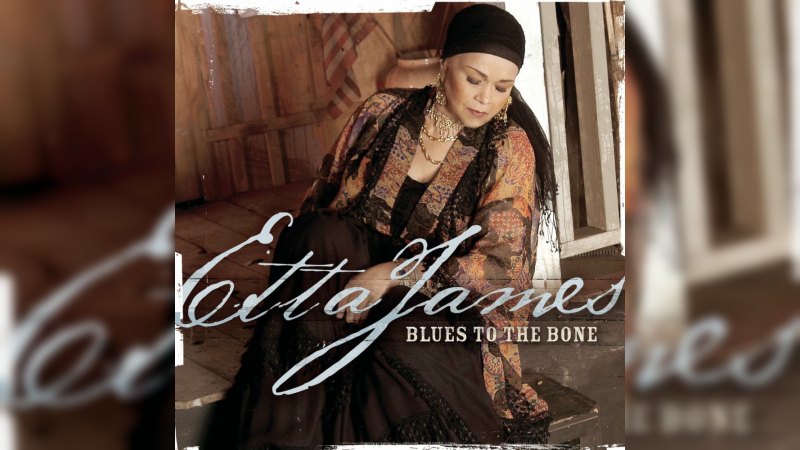 Обложка альбома Blues to the Bone
