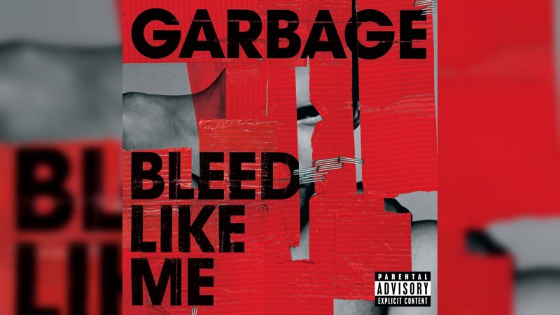 Обкладинка альбому Bleed Like Me