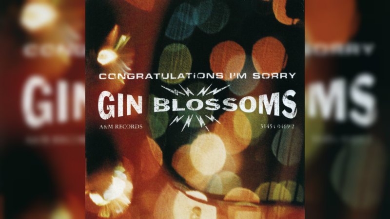 Обложка альбома Congratulations… I'm Sorry
