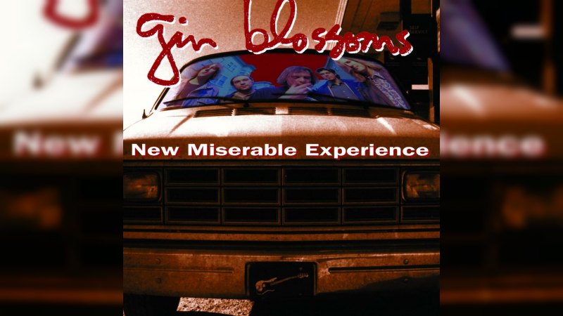 Обложка альбома New Miserable Experience