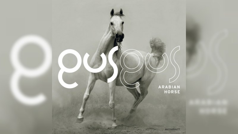 Обкладинка альбому Arabian Horse