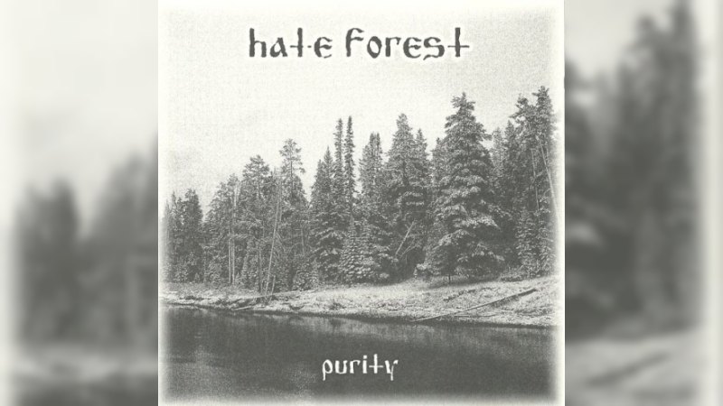 Обложка альбома Purity