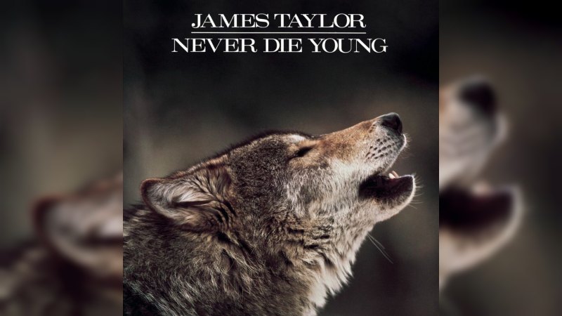 Обкладинка альбому Never Die Young