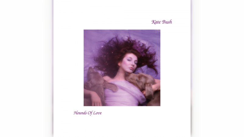 Обкладинка альбому Hounds of Love