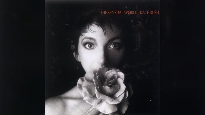 Обкладинка альбому The Sensual World