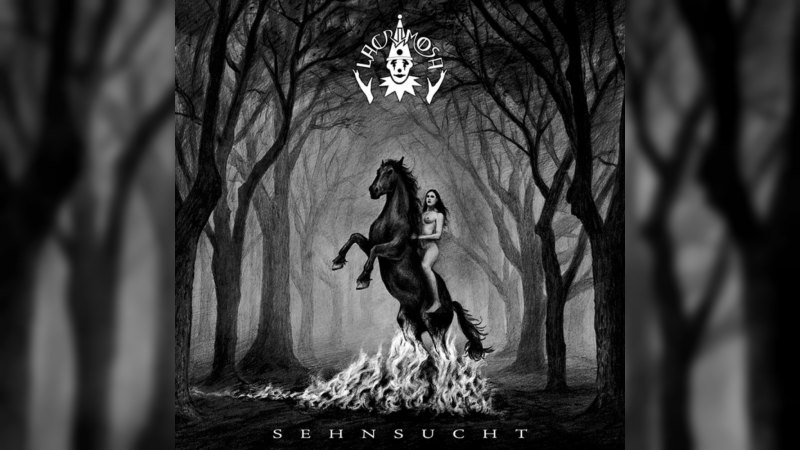 Обложка альбома Sehnsucht