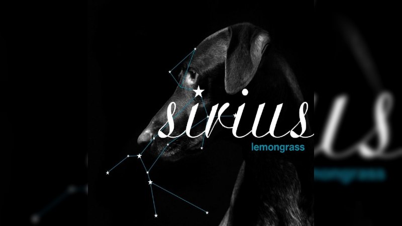 Обложка альбома Sirius