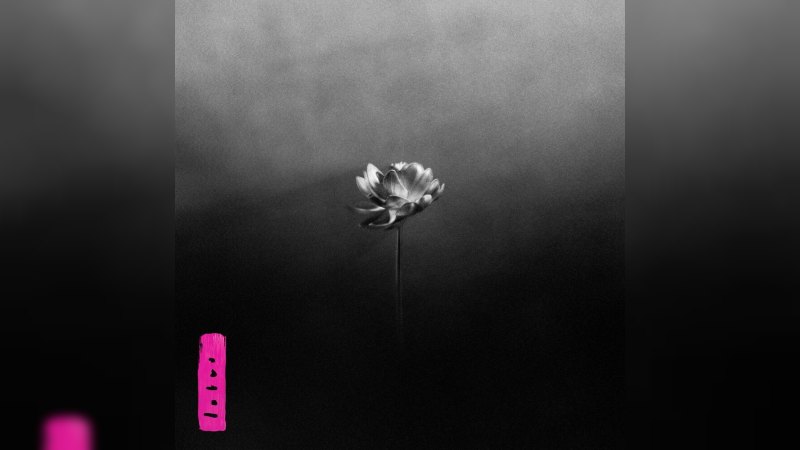 Обложка альбома Lotus