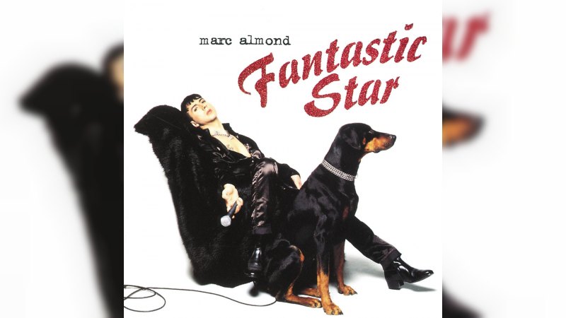 Обкладинка альбому Fantastic Star