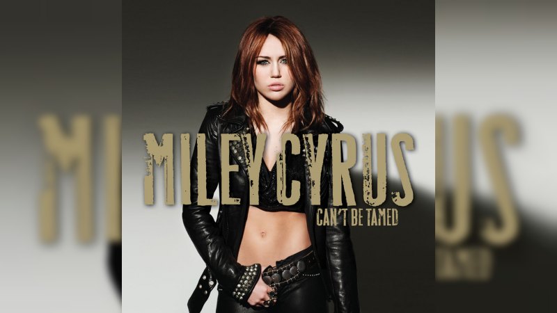 Обложка альбома Can't Be Tamed