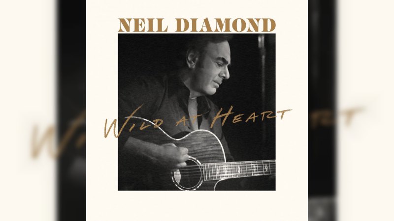 Обложка альбома Wild At Heart
