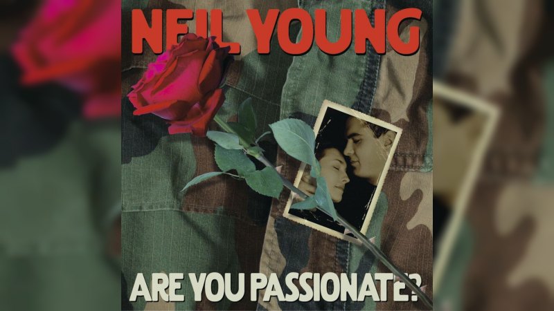 Обложка альбома Are You Passionate?