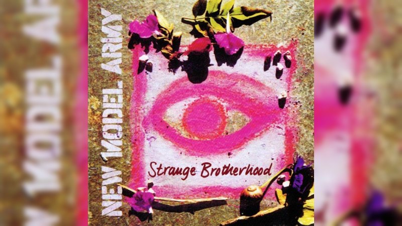 Обкладинка альбому Strange Brotherhood