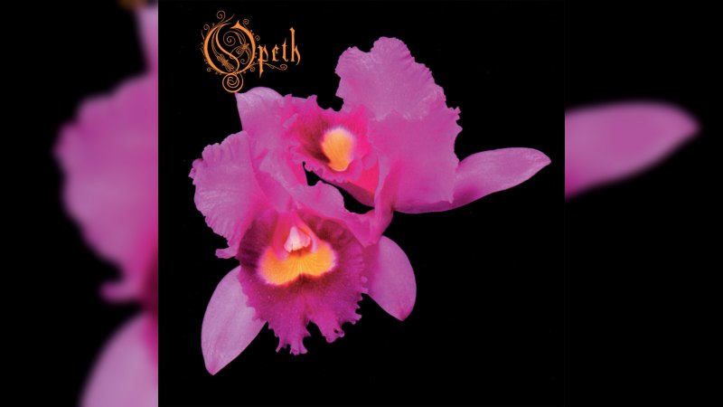 Обложка альбома Orchid