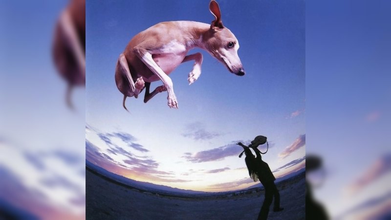 Обкладинка альбому Flying Dog