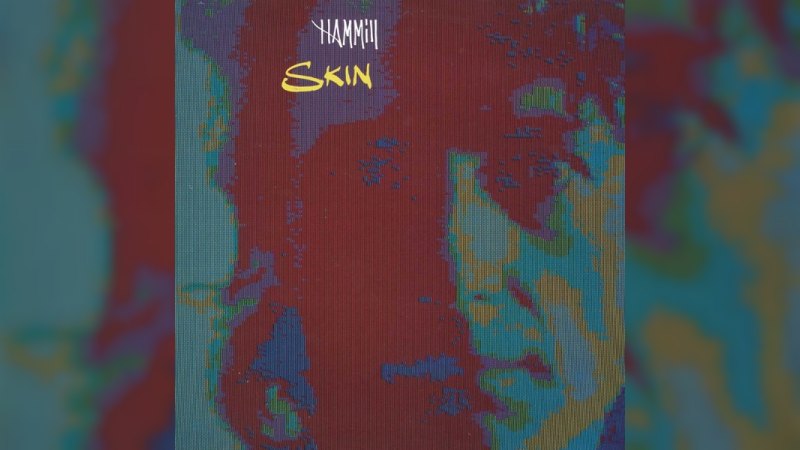 Обкладинка альбому Skin