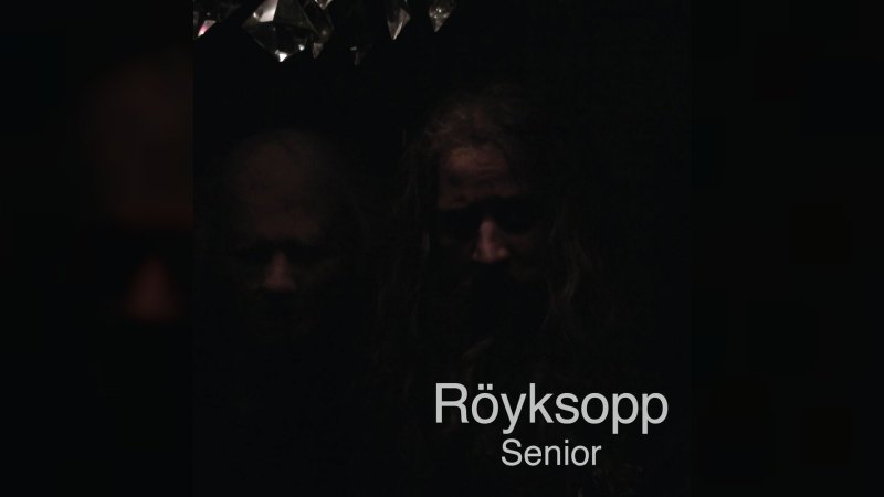Обложка альбома Senior