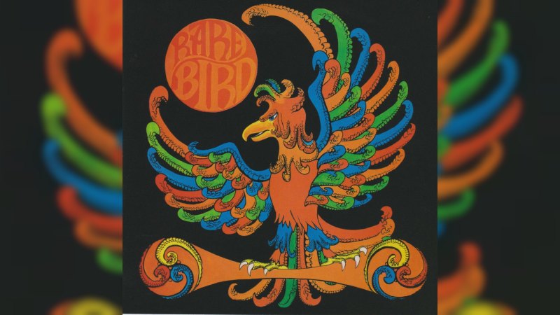 Обложка альбома Rare Bird