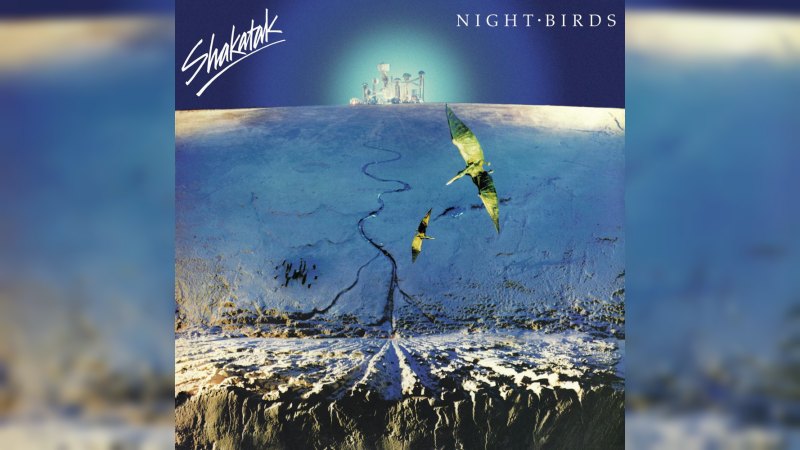 Обложка альбома Night Birds