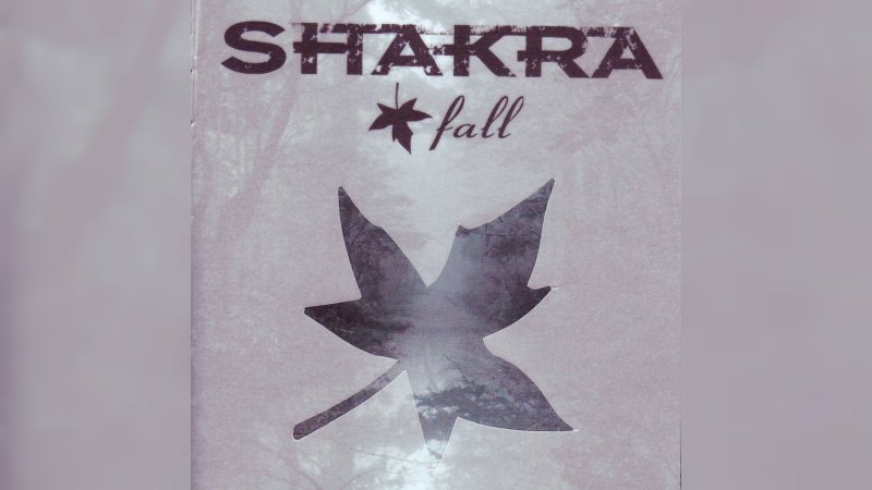 Обложка альбома Fall