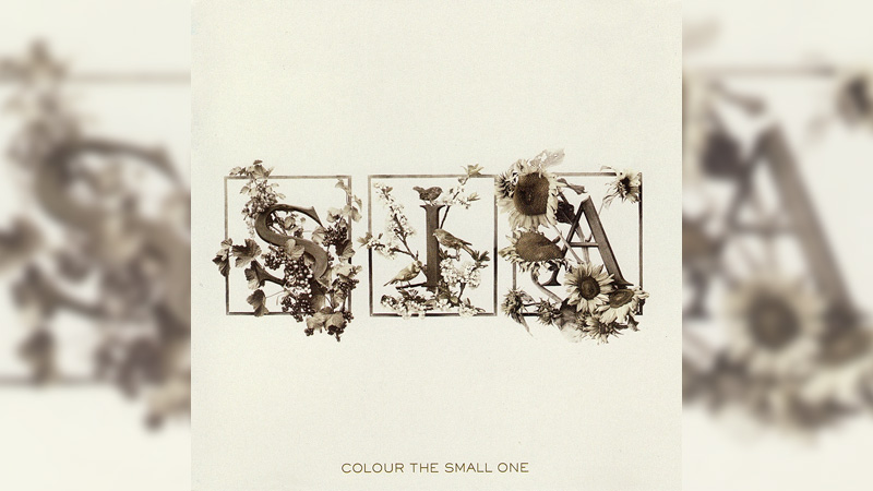 Обложка альбома Colour the Small One