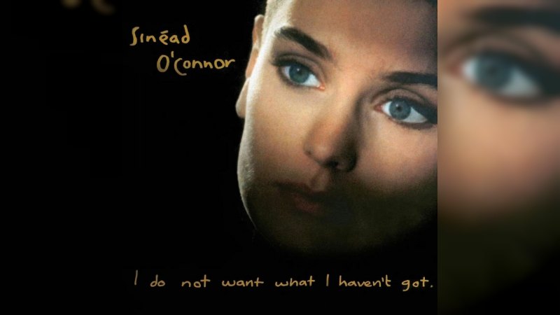Обложка альбома I Do Not Want What I Haven't Got