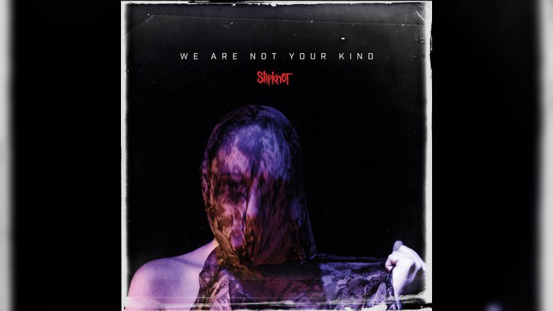 Обкладинка альбому We Are Not Your Kind