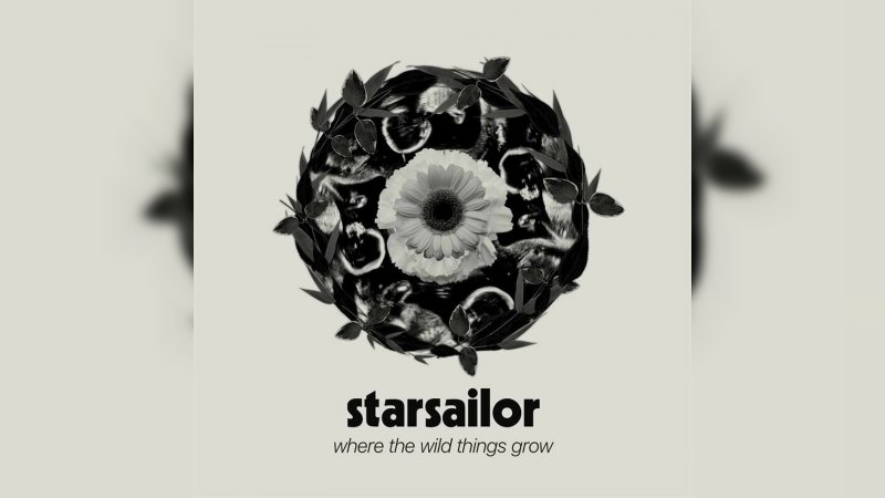 Обкладинка альбому Where the Wild Things Grow