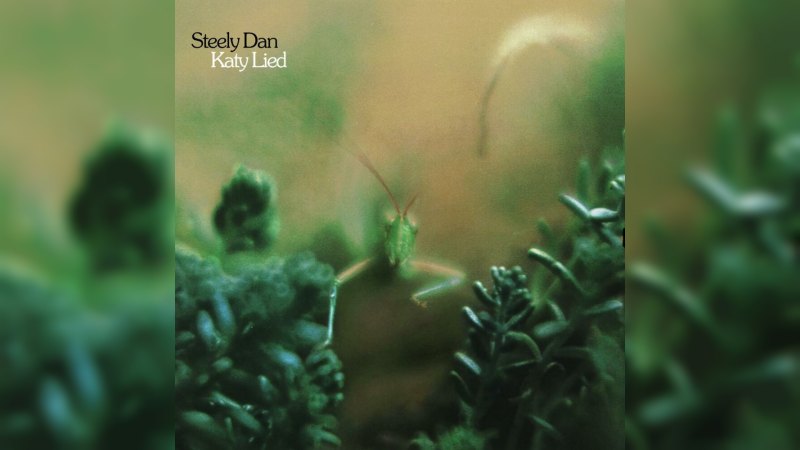 Обложка альбома Katy Lied