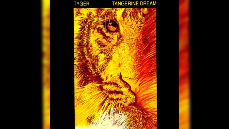 Обложка альбома Tyger