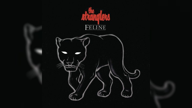 Обкладинка альбому Feline