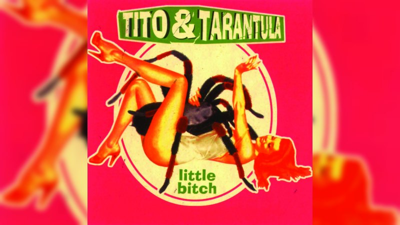 Обложка альбома Little Bitch