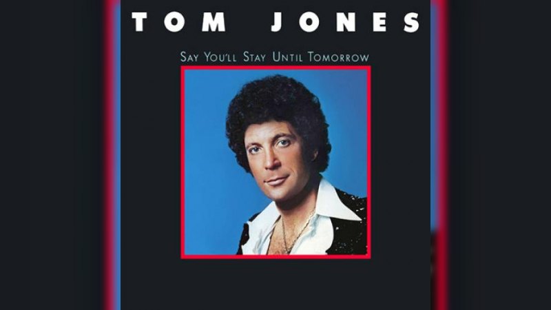 Обложка альбома Say You'll Stay Until Tomorrow