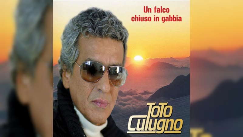 Обложка альбома Un falco chiuso in gabbia