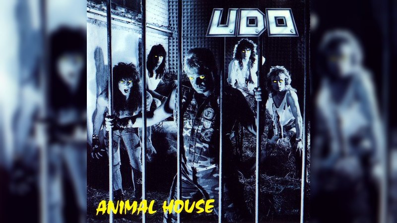 Обложка альбома Animal House