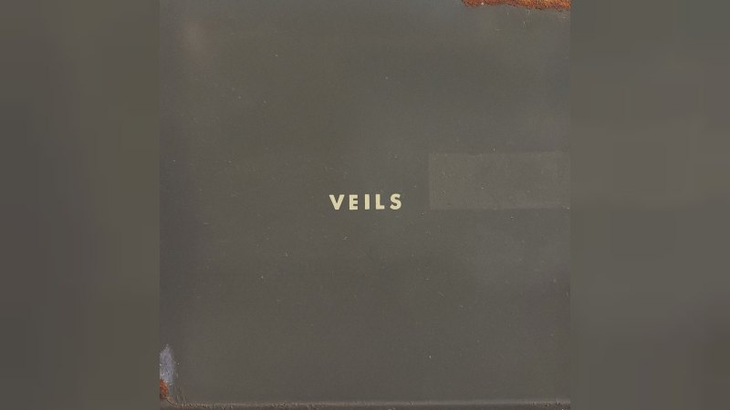 Обложка альбома Veils