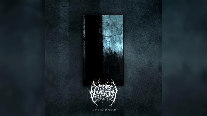 Обкладинка альбому Torn Beyond Reason