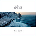 Обложка альбома True North