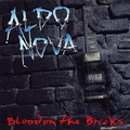 Обложка альбома Blood on the Bricks